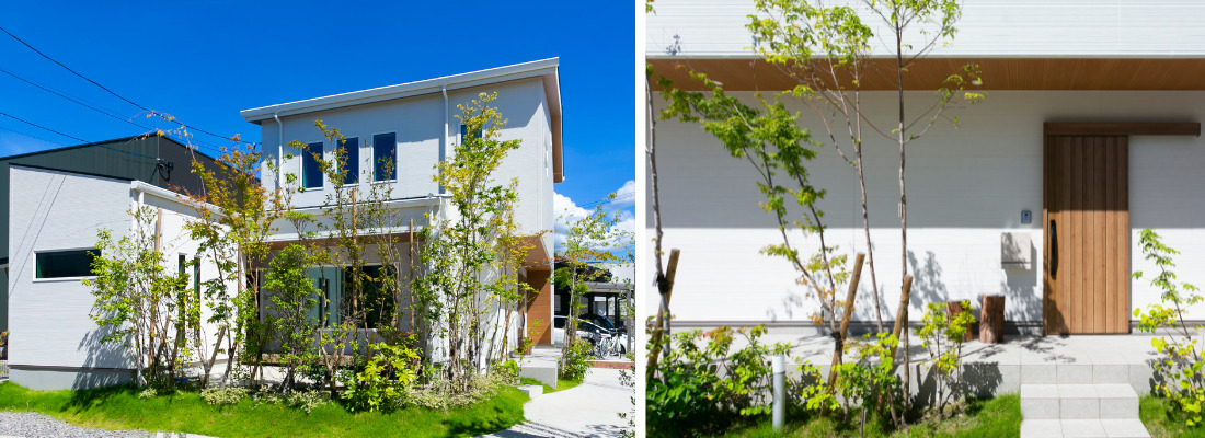 植栽に囲まれた白い外壁の二階建て住宅と、軒のあるナチュラルな外観。木製ドアと軒天が印象的な、植栽に囲まれた玄関アプローチ