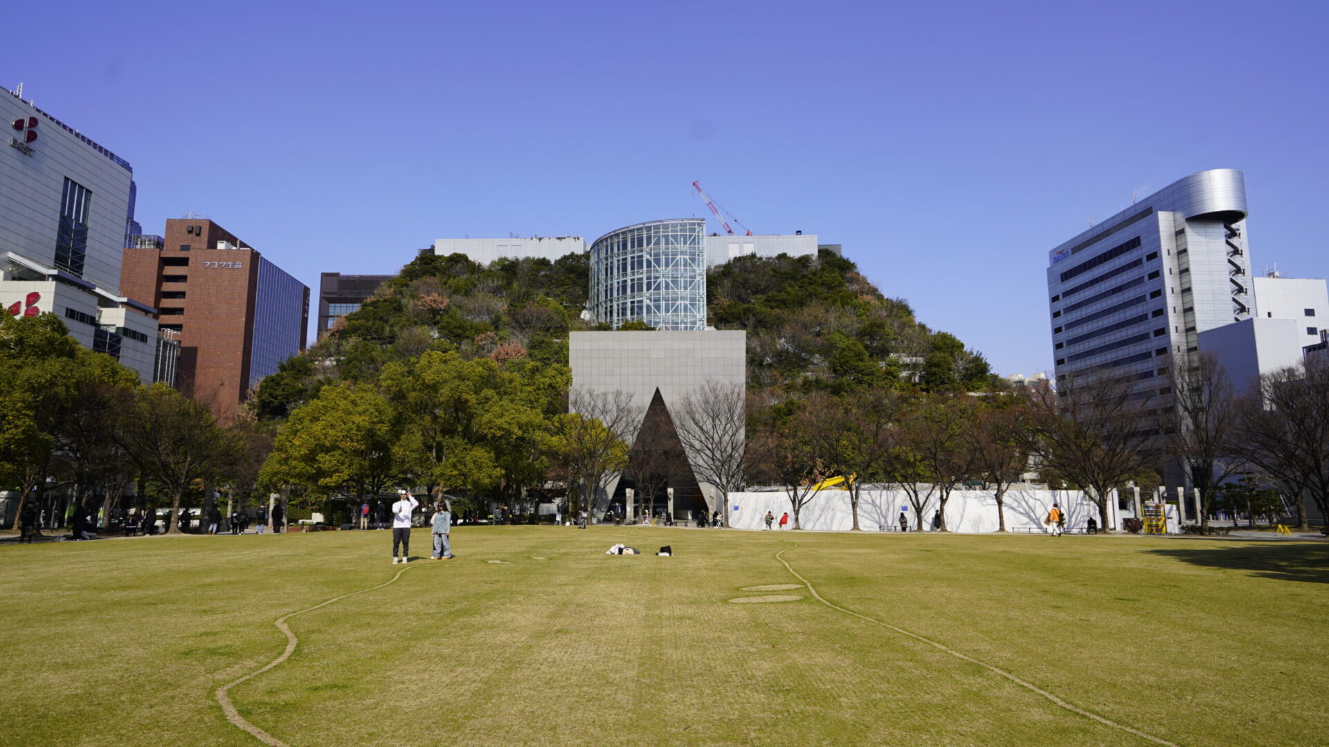 天神中央公園から望むアクロス福岡の外観と、都市の中に広がる開放的な芝生空間