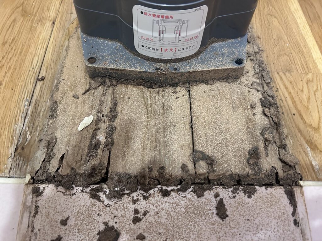 トイレ床下の木材が白蟻被害により劣化して崩れている様子