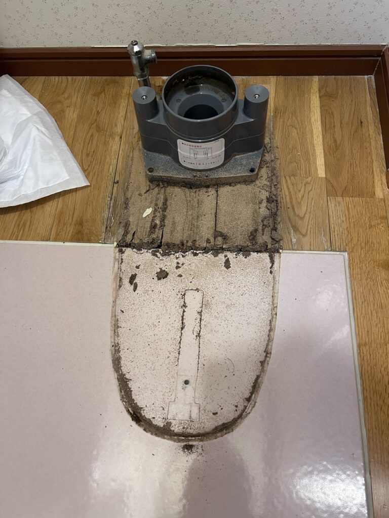 トイレの便器を外した後、床面にシロアリの被害跡が見られる