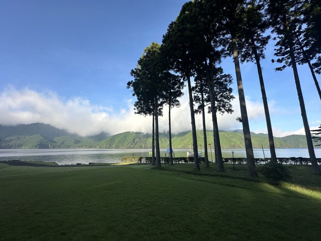 芦ノ湖の湖畔に立ち並ぶ木々と、遠くに望む緑豊かな山々。晴れ渡る空と静かな湖面が美しい朝の風景