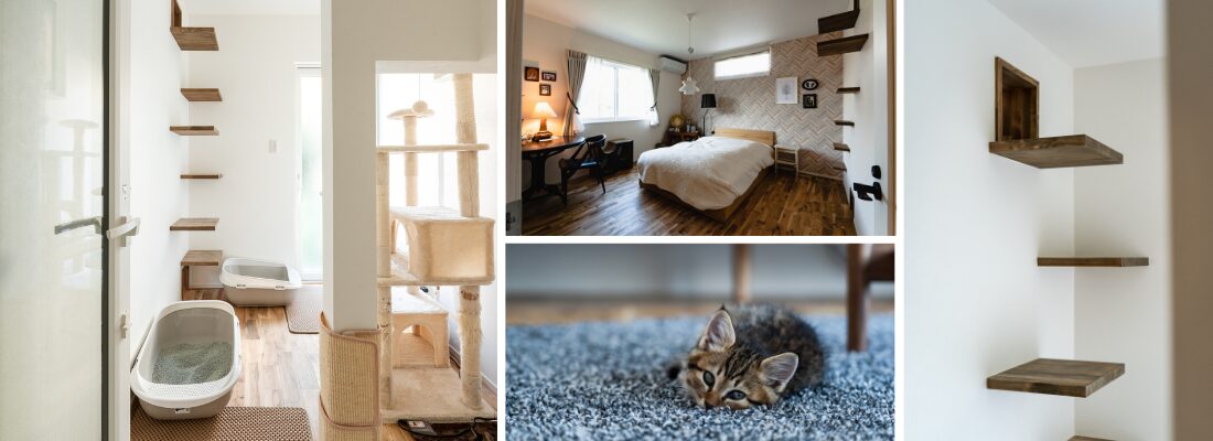 壁にキャットステップを設けた、上下階をつなぐ階段スペース。落ち着いた色調でまとめた、一階に配置された寝室。室内でくつろぐ猫の様子。壁に設置した木製のキャットステップ